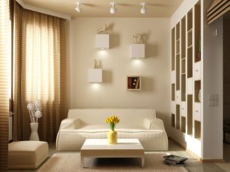 O interior de uma pequena sala de estar: 190+ (Fotos) Idéias modernas (móveis, papel de parede, zoneamento)