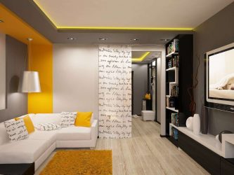 O interior de uma pequena sala de estar: 190+ (Fotos) Idéias modernas (móveis, papel de parede, zoneamento)