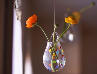 O mais interessante do-it-yourself Artesanato para casa (mais de 175 fotos) - Surpresa entes queridos