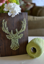 O mais interessante do-it-yourself Artesanato para casa (mais de 175 fotos) - Surpresa entes queridos