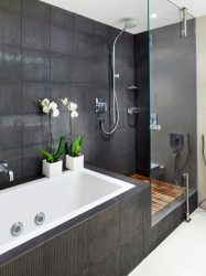 Opções de acabamento para a telha do banheiro (mais de 175 fotos). Crie um design que será lembrado