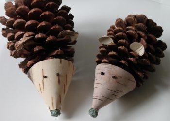 Artesanato de cones de abeto (grandes, pintados) para o Ano Novo (mais de 175 fotos) Belos brinquedos para as férias!