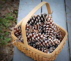 Artesanato de cones de abeto (grandes, pintados) para o Ano Novo (mais de 175 fotos) Belos brinquedos para as férias!