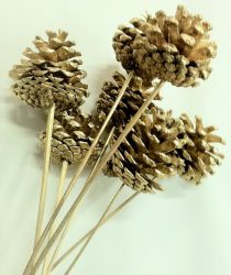 Artesanato de cones de abeto (grandes, pintados) para o Ano Novo (mais de 175 fotos) Belos brinquedos para as férias!