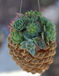 Artesanato de cones de abeto (grandes, pintados) para o Ano Novo (mais de 175 fotos) Belos brinquedos para as férias!