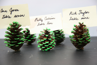 Artesanato de cones de abeto (grandes, pintados) para o Ano Novo (mais de 175 fotos) Belos brinquedos para as férias!