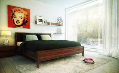 Como fazer espaço no quarto acima da cama: colocação de pinturas pelo Feng Shui. 170+ (Fotos) acentos brilhantes e elegantes