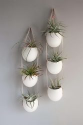 Vasos funcionais - 195+ (Foto) Ideias que transformam o interior (piso / mesa / pingente)