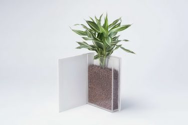 Vasos funcionais - 195+ (Foto) Ideias que transformam o interior (piso / mesa / pingente)