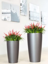 Vasos funcionais - 195+ (Foto) Ideias que transformam o interior (piso / mesa / pingente)