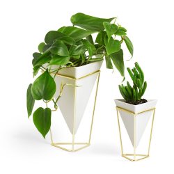 Vasos funcionais - 195+ (Foto) Ideias que transformam o interior (piso / mesa / pingente)