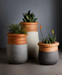 Vasos funcionais - 195+ (Foto) Ideias que transformam o interior (piso / mesa / pingente)