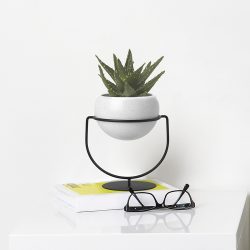 Vasos funcionais - 195+ (Foto) Ideias que transformam o interior (piso / mesa / pingente)