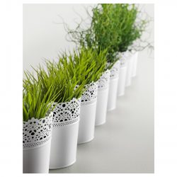 Vasos funcionais - 195+ (Foto) Ideias que transformam o interior (piso / mesa / pingente)