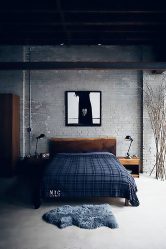 Parede de tijolos no interior - Uma maneira espetacular de transformar sua casa (mais de 260 fotos). A combinação na sala de estar, na cozinha, no quarto