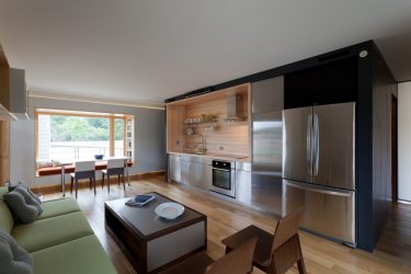 Interior da cozinha combinado com a sala de estar (mais de 180 fotos): truques de design e segredos de posicionamento