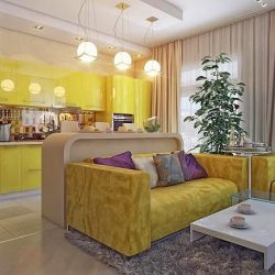 Interior da cozinha combinado com a sala de estar (mais de 180 fotos): truques de design e segredos de posicionamento