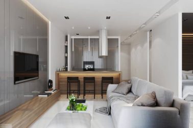 Interior da cozinha combinado com a sala de estar (mais de 180 fotos): truques de design e segredos de posicionamento
