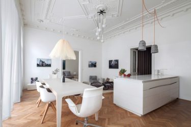 Interior da cozinha combinado com a sala de estar (mais de 180 fotos): truques de design e segredos de posicionamento