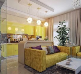 Interior da cozinha combinado com a sala de estar (mais de 180 fotos): truques de design e segredos de posicionamento