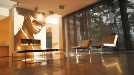 Design do apartamento no estilo japonês: Acalme sua casa. 220+ (Fotos) Interiores em quartos diferentes (cozinha, sala de estar, banheiro)