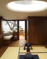Design do apartamento no estilo japonês: Acalme sua casa. 220+ (Fotos) Interiores em quartos diferentes (cozinha, sala de estar, banheiro)