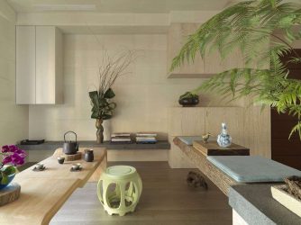 Design do apartamento no estilo japonês: Acalme sua casa. 220+ (Fotos) Interiores em quartos diferentes (cozinha, sala de estar, banheiro)
