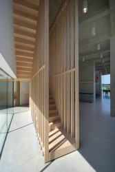 290+ Fotos de belas Opções de escadas para o segundo andar em uma casa particular (madeira, metal, concreto)