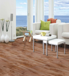 Linoleum no interior - uma solução simples e original como um revestimento de piso. 220+ (Fotos) Melhores ideias para sala de estar, cozinha, quarto