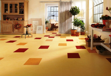 Linoleum no interior - uma solução simples e original como um revestimento de piso. 220+ (Fotos) Melhores ideias para sala de estar, cozinha, quarto