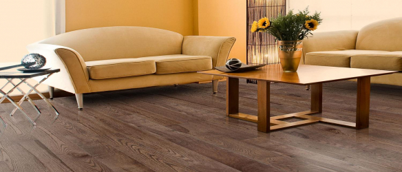Linoleum no interior - uma solução simples e original como um revestimento de piso. 220+ (Fotos) Melhores ideias para sala de estar, cozinha, quarto