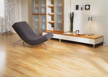 Linoleum no interior - uma solução simples e original como um revestimento de piso. 220+ (Fotos) Melhores ideias para sala de estar, cozinha, quarto