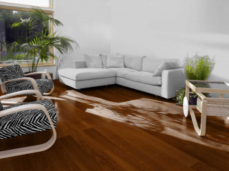 Linoleum no interior - uma solução simples e original como um revestimento de piso. 220+ (Fotos) Melhores ideias para sala de estar, cozinha, quarto