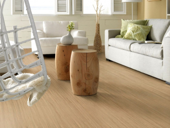 Linoleum no interior - uma solução simples e original como um revestimento de piso. 220+ (Fotos) Melhores ideias para sala de estar, cozinha, quarto