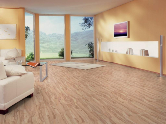 Linoleum no interior - uma solução simples e original como um revestimento de piso. 220+ (Fotos) Melhores ideias para sala de estar, cozinha, quarto