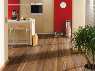Linoleum no interior - uma solução simples e original como um revestimento de piso. 220+ (Fotos) Melhores ideias para sala de estar, cozinha, quarto