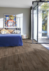 Linoleum no interior - uma solução simples e original como um revestimento de piso. 220+ (Fotos) Melhores ideias para sala de estar, cozinha, quarto