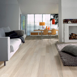 Linoleum no interior - uma solução simples e original como um revestimento de piso. 220+ (Fotos) Melhores ideias para sala de estar, cozinha, quarto