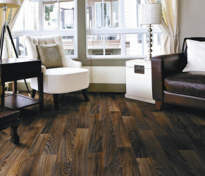Linoleum no interior - uma solução simples e original como um revestimento de piso. 220+ (Fotos) Melhores ideias para sala de estar, cozinha, quarto