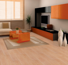 Linoleum no interior - uma solução simples e original como um revestimento de piso. 220+ (Fotos) Melhores ideias para sala de estar, cozinha, quarto