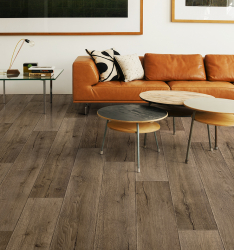 Linoleum no interior - uma solução simples e original como um revestimento de piso. 220+ (Fotos) Melhores ideias para sala de estar, cozinha, quarto
