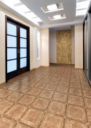 Linoleum no interior - uma solução simples e original como um revestimento de piso. 220+ (Fotos) Melhores ideias para sala de estar, cozinha, quarto