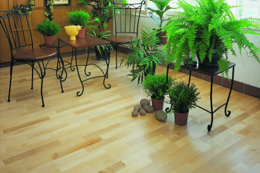 Linoleum no interior - uma solução simples e original como um revestimento de piso. 220+ (Fotos) Melhores ideias para sala de estar, cozinha, quarto