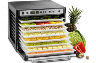 Top 15 ranking of the best dryers for fruits and vegetables. How to choose the right? Dry quickly and efficiently (+ Reviews)
