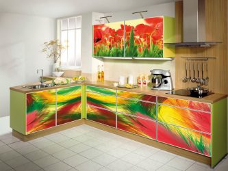 Faça-você-mesmo decoração da cozinha: como abordar a questão profissionalmente? Idéias originais para decoração de parede, avental, teto (mais de 200 fotos)