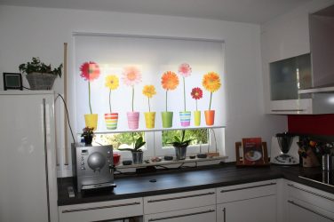 Faça-você-mesmo decoração da cozinha: como abordar a questão profissionalmente? Idéias originais para decoração de parede, avental, teto (mais de 200 fotos)