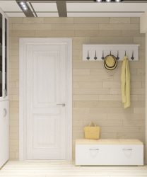 Como equipar o pequeno corredor no mobiliário do apartamento? Beautiful Modern Interiors (mais de 205 fotos)