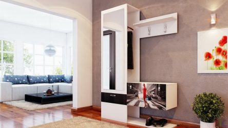 Como equipar o pequeno corredor no mobiliário do apartamento? Beautiful Modern Interiors (mais de 205 fotos)