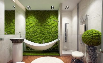 ทำนองของพืชในร่มและดูแลพวกเขาที่บ้าน (175+ ภาพ) กฎทองของผู้เชี่ยวชาญ