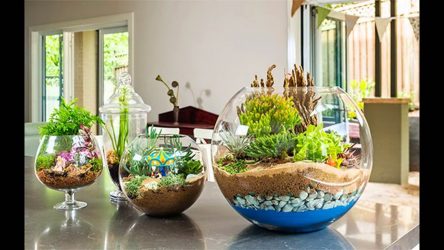 ทำนองของพืชในร่มและดูแลพวกเขาที่บ้าน (175+ ภาพ) กฎทองของผู้เชี่ยวชาญ
